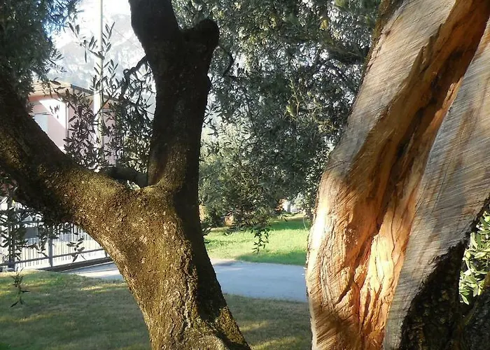 Ferienwohnung Olive Tree House Riva del Garda